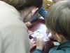 Экологическая игра «Волшебный лес»