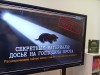 Секретные материалы: досье на господина крота