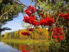 Уроки краеведения в центральной детской библиотеке