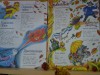 Выставка «Краски осени»