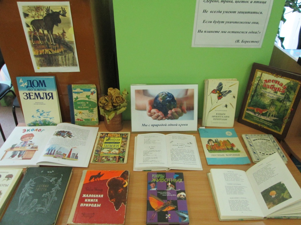 IMG_2631_1.jpg IMG_2631_1.jpg