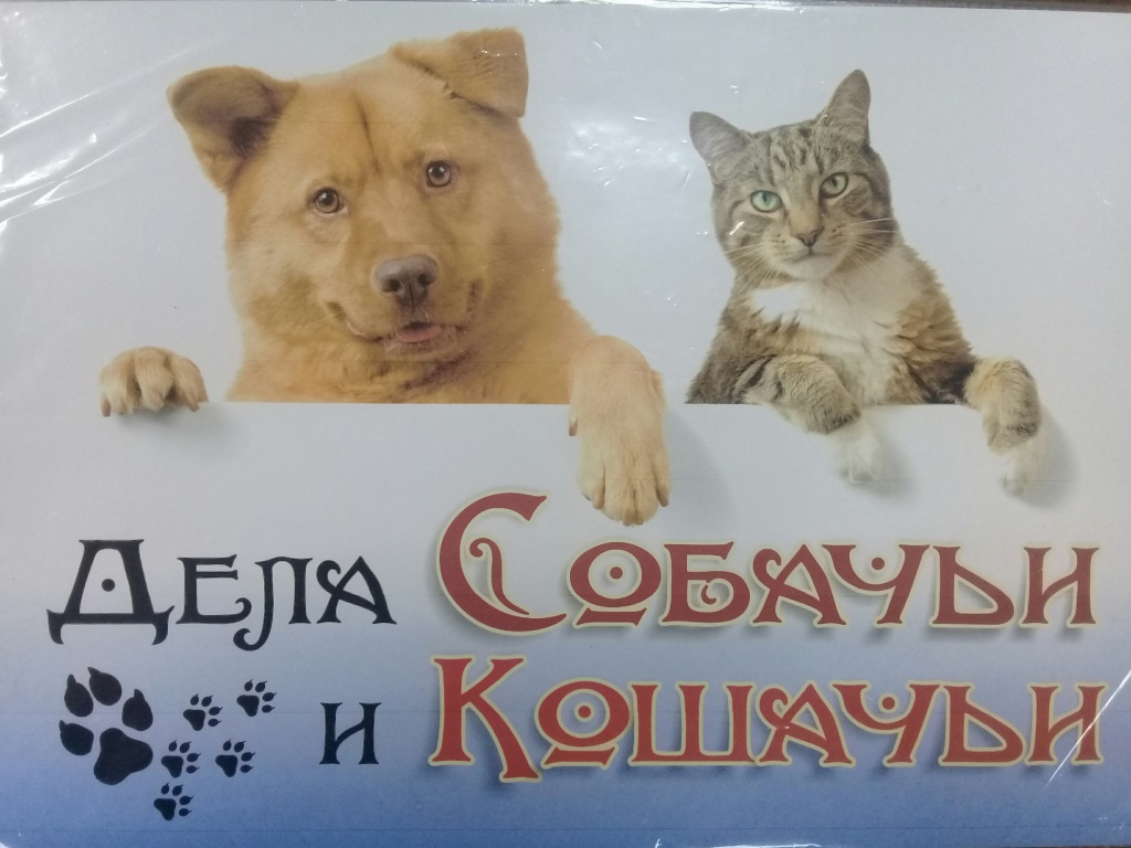 IMG_20171018_231404_1.jpg IMG_20171018_231404_1.jpg