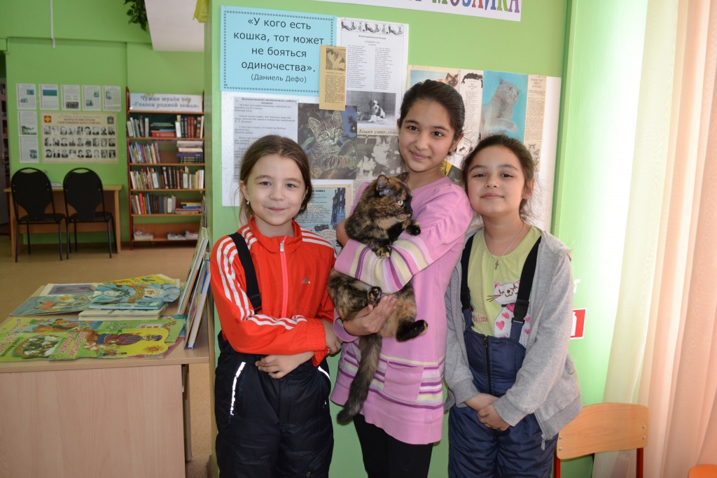 NocAa2u4TIo.jpg NocAa2u4TIo.jpg