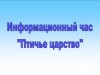 Информационный час «Птичье царство»