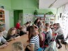 Мастер-класс по изготовлению украшений из полимерной глины.