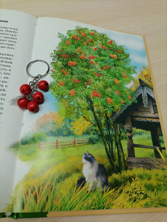 0dm8oCD2Ur8_1.jpg 0dm8oCD2Ur8_1.jpg