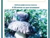 Палевицкой библиотекой-филиалом выпущена библиографическая памятка "Заказник "Белый" 