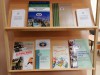 В фокусе внимания – избирательное право