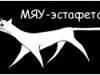 «МЯУ-эстафета»