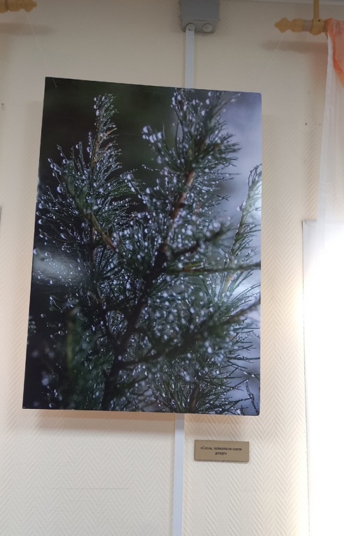 asBRHCRSEJs_1.jpg asBRHCRSEJs_1.jpg