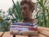 Книжная выставка «Солнце русской поэзии»