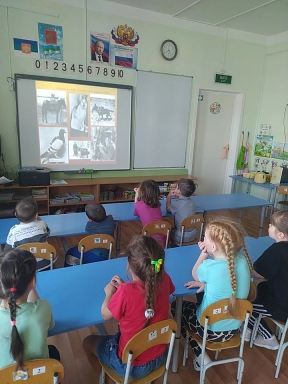 BSMciu48cxU.jpg