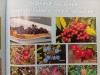 "Югыд ва: Удивительный мир заповедных просторов"