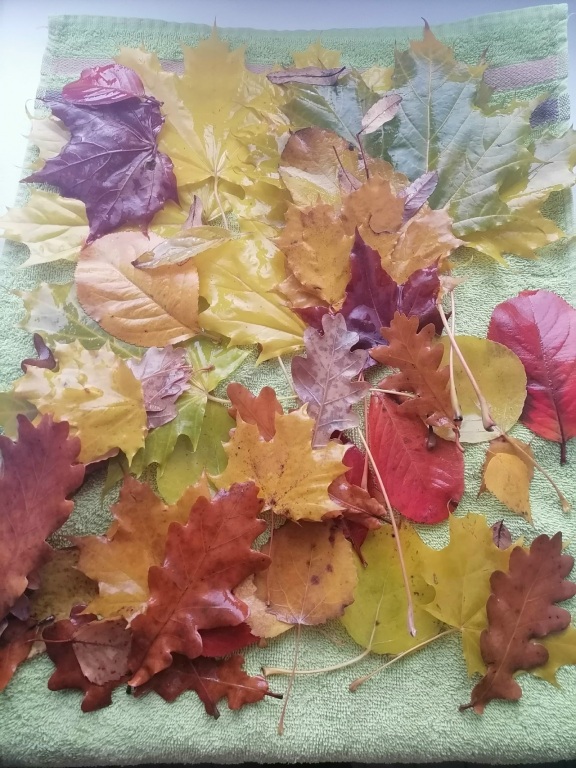 55kkZ68POgzPatF2nMdxYINgJrCqoRzpzj4mniBC8SyeUGvU7qC7u6QHCCl8qMZGNIq9wzyZoLcRRoRrsV_p_yRi_1.jpg 55kkZ68POgzPatF2nMdxYINgJrCqoRzpzj4mniBC8SyeUGvU7qC7u6QHCCl8qMZGNIq9wzyZoLcRRoRrsV_p_yRi_1.jpg